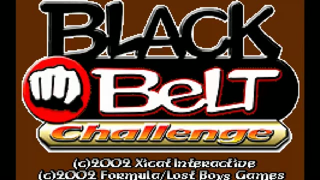 Black Belt Challenge gameplay screenshot