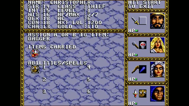 Dungeons & Dragons - Warriors of the Eternal Sun gameplay screenshot