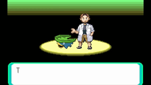 Pokemon - Emerald Version gameplay screenshot
