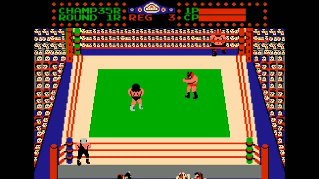 Tag Team Wrestling gameplay screenshot