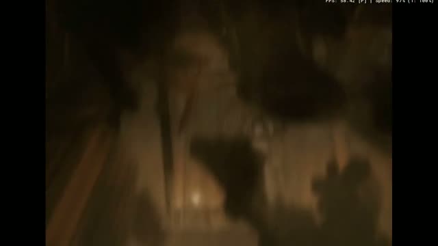 Tekken 5 gameplay screenshot