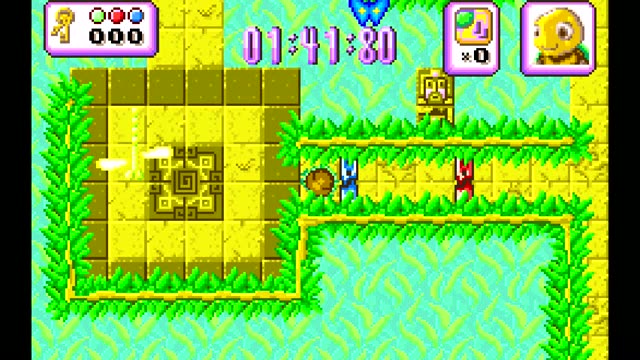 Turbo Turtle Adventure gameplay screenshot