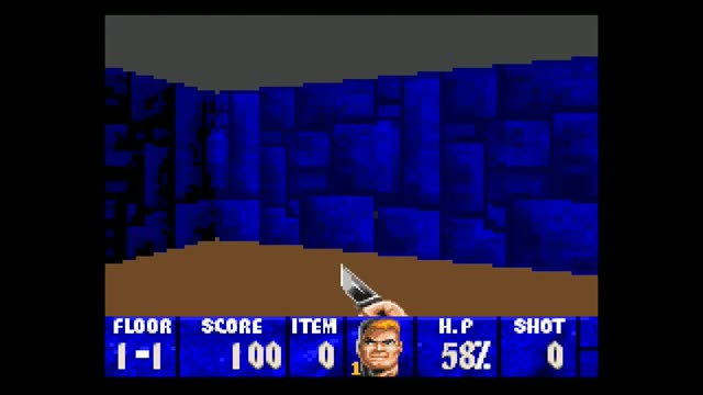 Wolfenstein 3-D gameplay screenshot