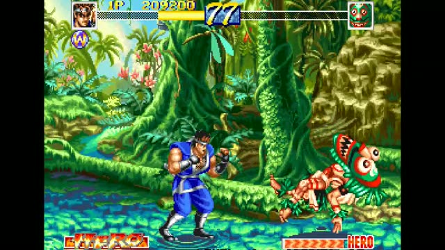 World Heroes Perfect gameplay screenshot
